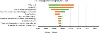 Cost-effectiveness analysis of sintilimab vs. placebo in combination with chemotherapy as first-line therapy for local advanced or metastatic oesophageal squamous cell carcinoma